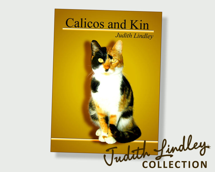 Calicos and Kin by Judith Lindley