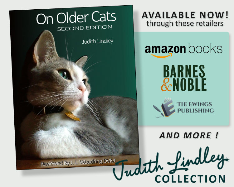 On Older Cats by Judith Lindley Now Available
